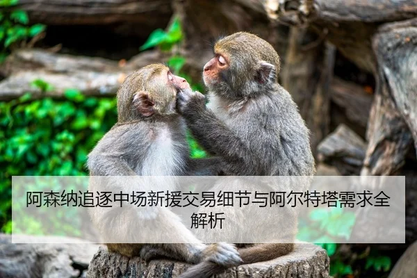 阿森纳追逐中场新援交易细节与阿尔特塔需求全解析