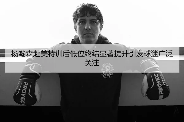 杨瀚森赴美特训后低位终结显著提升引发球迷广泛关注