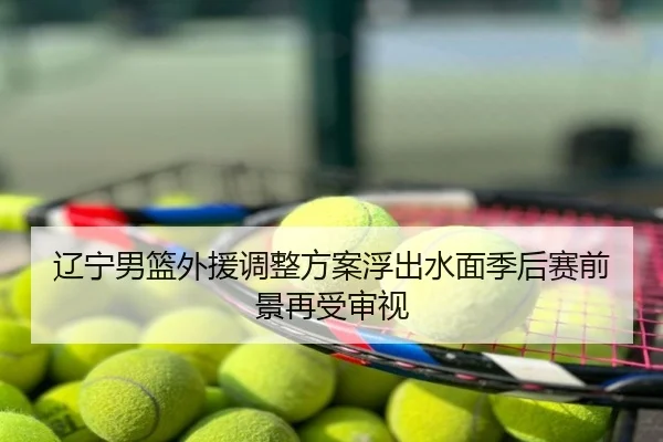 辽宁男篮外援调整方案浮出水面季后赛前景再受审视